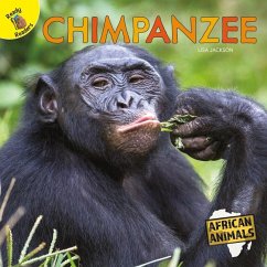 Chimpanzee - Jackson