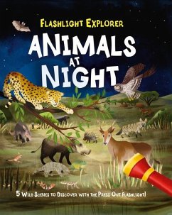 Flashlight Explorer: Animals at Night - Regan, Lisa