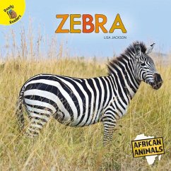 Zebra - Jackson