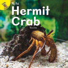 Hermit Crab - Cole