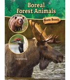 Boreal Forest Animals