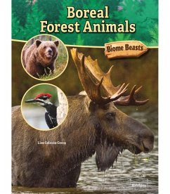 Boreal Forest Animals - Cocca