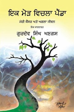 Journey Through a Turning Point: Punjabi Edition - Ghangas, Gurdev S.