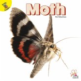 Moth Moth