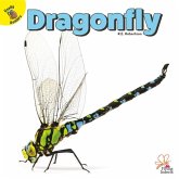 Dragonfly Dragonfly