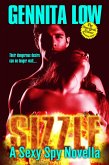 Sizzle (Hot Spies, #2) (eBook, ePUB)