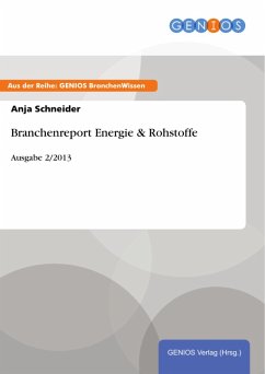 Branchenreport Energie & Rohstoffe (eBook, ePUB) - Schneider, Anja