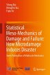 Statistical Meso-Mechanics of Damage... - Bild 1