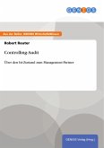 Controlling-Audit (eBook, ePUB)