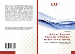 Analyse - diagnostic d¿ouvrages hydrauliques réalisés sur le Baobolong - Dioum, Mbaye