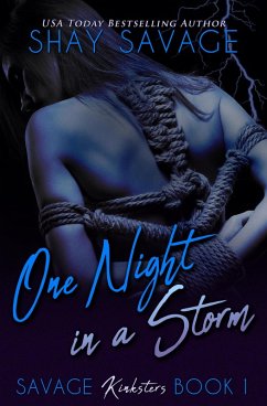 Cover One Night in a Storm (Savage Kinksters, #1) (eBook, ePUB)