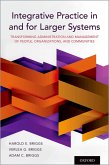 Integrative Practice in and for Larger Systems (eBook, PDF)