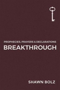 Breakthrough: Volume 1 - Bolz, Shawn