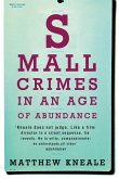 Small Crimes in an Age of Abundance