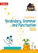 Vocabulary, Grammar and Punctuation... - Bild 1
