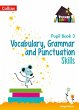 Vocabulary, Grammar and Punctuation... - Bild 1
