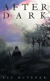 After Dark (eBook, ePUB)