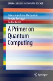A Primer on Quantum Computing (eBook, PDF)