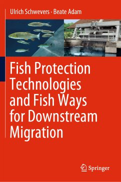 Fish Protection Technologies and Fish Ways for Downstream Migration (eBook, PDF) - Schwevers, Ulrich; Adam, Beate