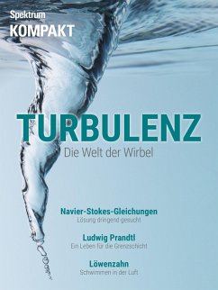 Spektrum Kompakt - Turbulenzen (eBook, PDF) - Spektrum der Wissenschaft