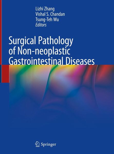 Surgical Pathology of Non-neoplastic Gastrointestinal Diseases (eBook, PDF)
