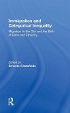 Immigration and Categorical Inequality