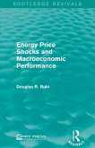Energy Price Shocks and Macroeconomic Performance