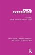 Pupil Experience - Bild 1