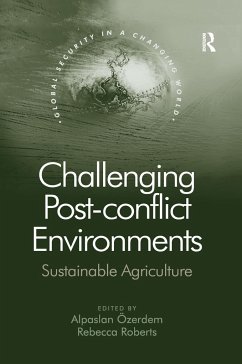 Challenging Post-conflict Environments - Özerdem, Alpaslan; Roberts, Rebecca