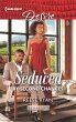 Seduced by Second Chances (eBook, ePUB) - Bild 1