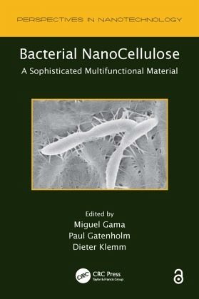 Bacterial NanoCellulose Bacterial NanoCellulose
