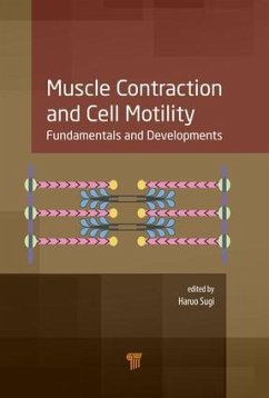 Muscle Contraction and Cell Motility