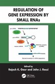 Regulation of Gene Expression by Small Rnas