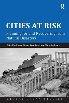 Cities at Risk - Filion, Pierre; Sands, Gary