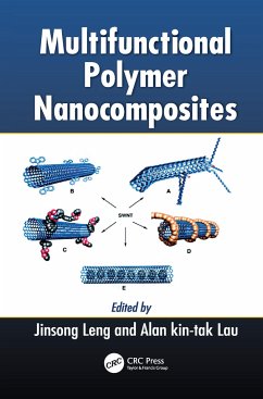 Multifunctional Polymer Nanocomposites