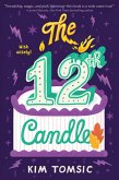 The 12th Candle (eBook, ePUB)