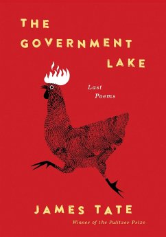 The Government Lake (eBook, ePUB) - Tate, James