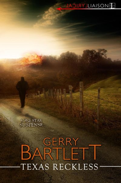 Texas Reckless (eBook, ePUB)
