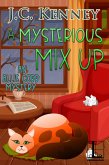 A Mysterious Mix Up (eBook, ePUB)