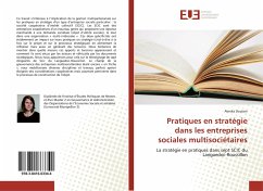 Pratiques en stratégie dans les entreprises sociales multisociétaires - Doulain, Alenka