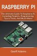 Raspberry Pi - Bild 1