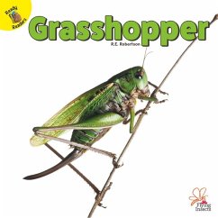 Grasshopper - Robertson