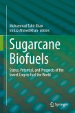 Sugarcane Biofuels (eBook, PDF)
