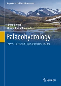 Palaeohydrology (eBook, PDF)