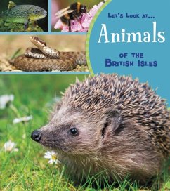 Animals of the British Isles - Beevor, Lucy