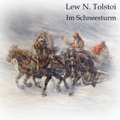 Im Schneesturm - Tolstoi, Leo N.