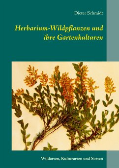 Herbarium-Wildpflanzen und ihre Gartenkulturen - Schmidt, Dieter