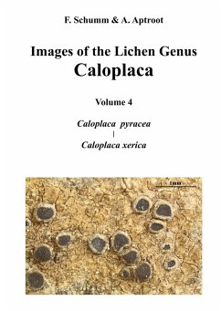 Images of the Lichen Genus Caloplaca, Vol4 - Schumm, Felix