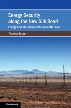 Cover Energy Security along the New Silk Road (eBook, PDF)