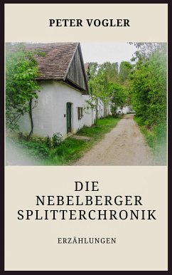 Die Nebelberger Splitterchronik (eBook, ePUB) - Vogler, Peter